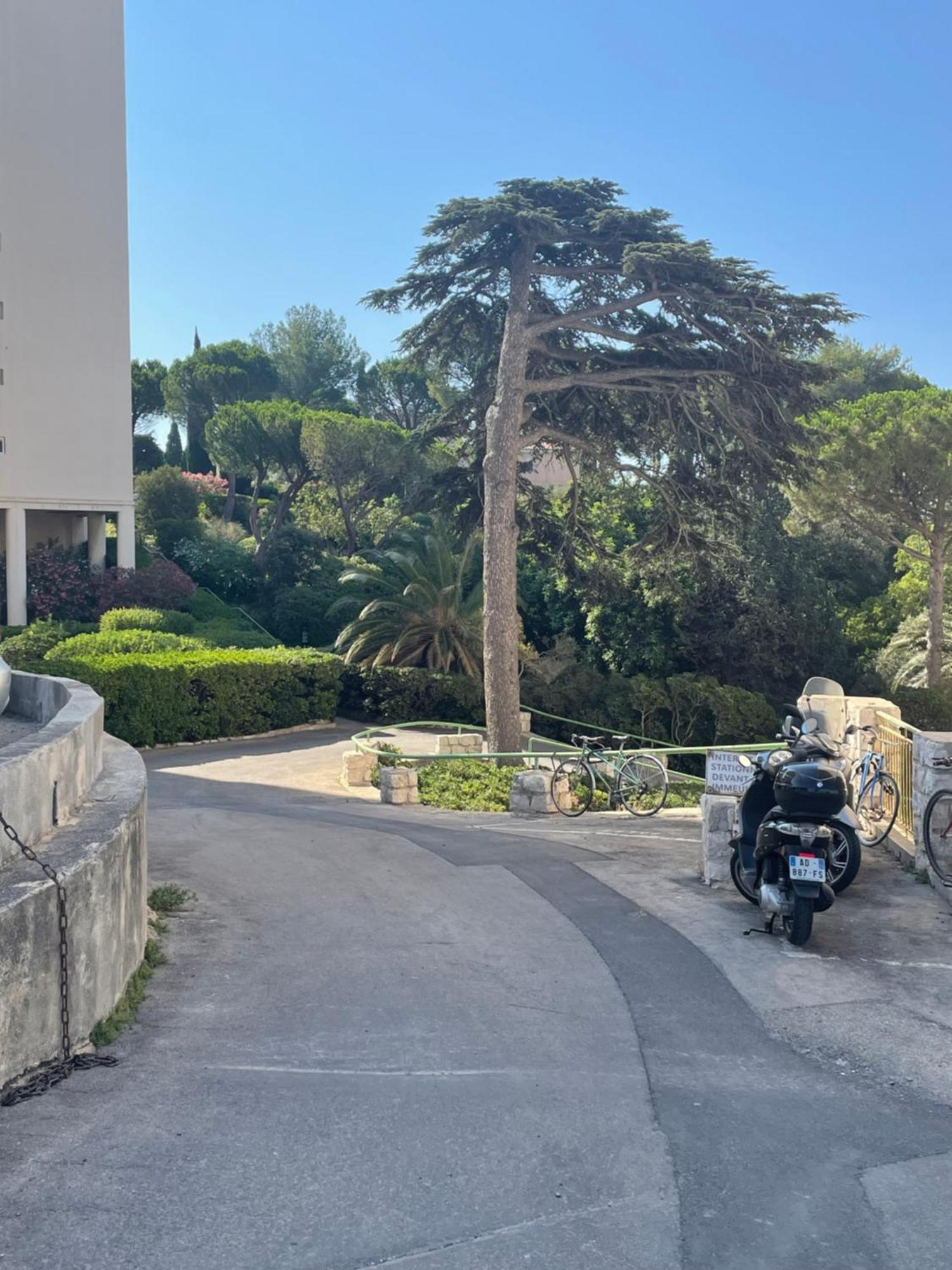 Ferienwohnung Vu Sur Mer Corniche Marseilles Exterior foto